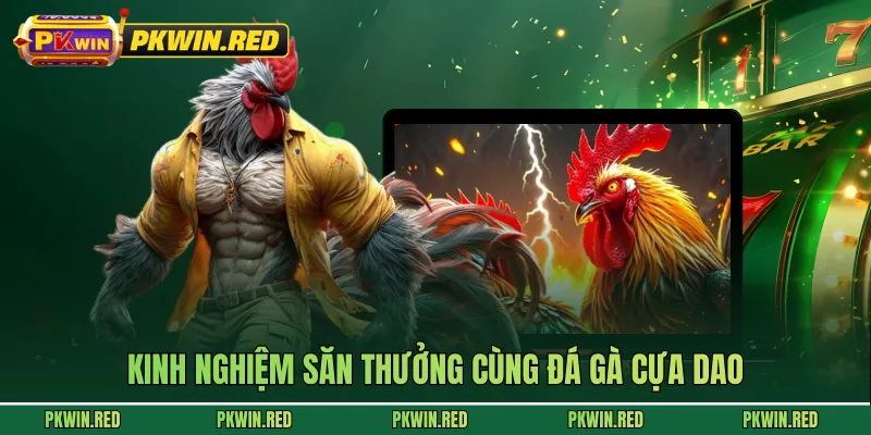 Đá Gà Cựa Dao - Trận Đấu Hấp Dẫn, Trải Nghiệm Cùng PKWIN