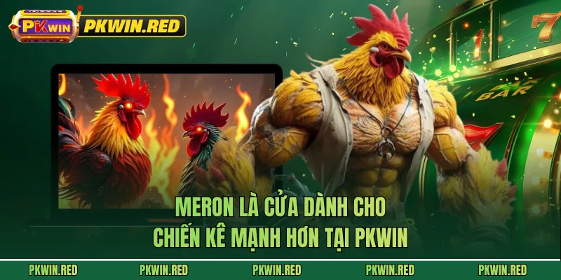 Meron là cửa dành cho chiến kê mạnh hơn tại PKWIN