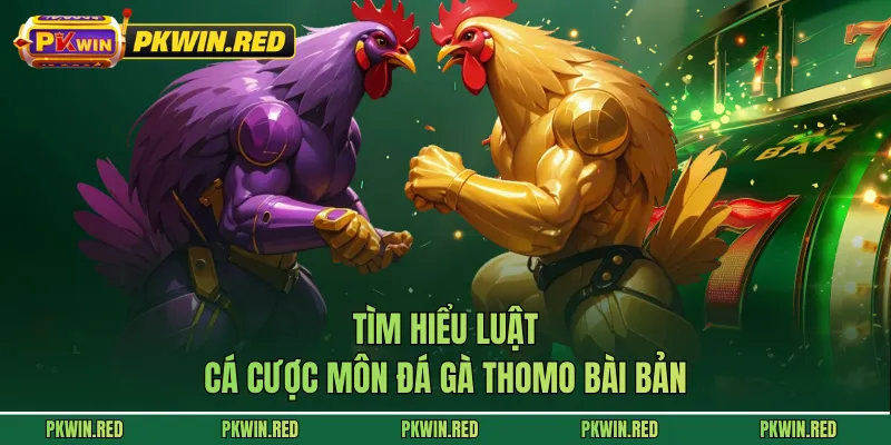 Tìm hiểu luật cá cược môn đá gà Thomo bài bản