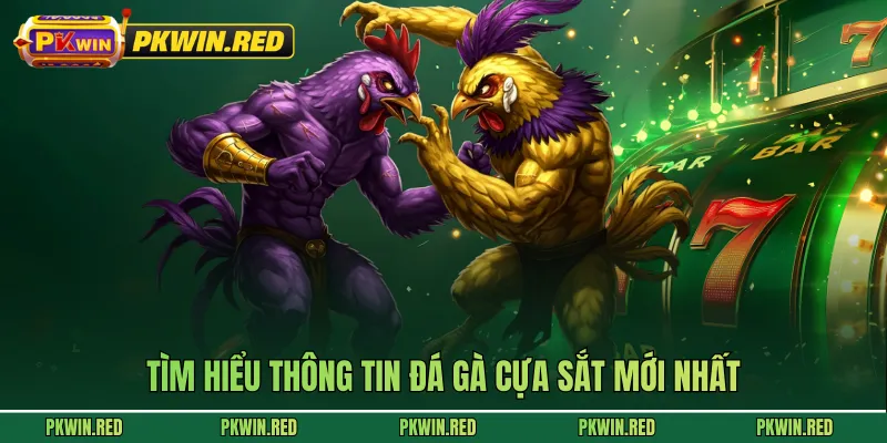 Tìm hiểu thông tin đá gà cựa sắt mới nhất